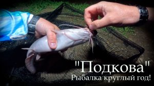 Ночная рыбалка на Подкове. Карп, Сом, Стерлядь, Линь. Угадай что поймал )) 2026
