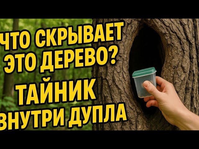 Тайник в дереве / Cache in tree смотреть онлайн