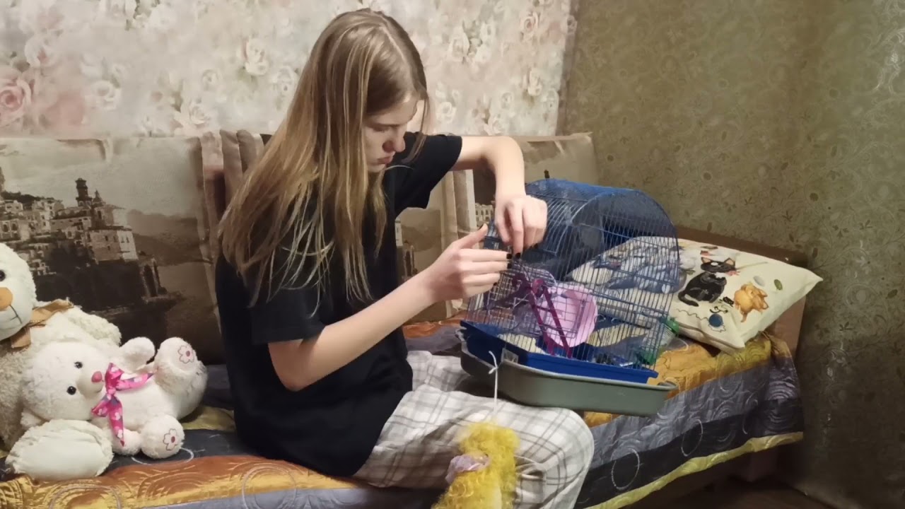 недоделанная комната 🥸 смотреть онлайн