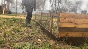 Постройка мини-вольера для подсадной утки и селезня. Ждём потомства от Одди!