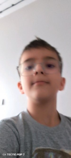 бразильские странствующий паук
