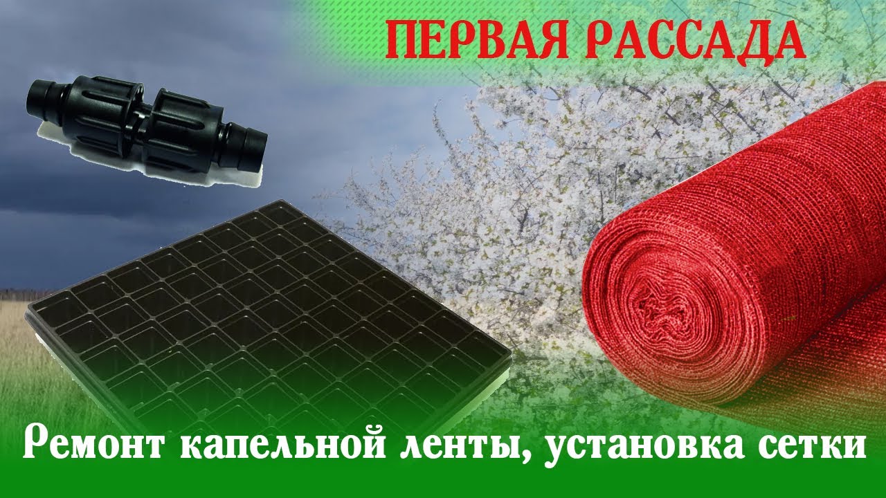 Ремонт капельной ленты, установка сетки на рассадник и первая кассета с рассадой смотреть онлайн