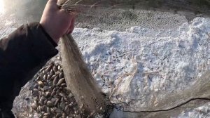 ДА ЕЁ ТАМ ТОННЫ!!! Опустив камеру под лёд я был шокирован! Рыбалка на ПАУК-ПОДЪЁМНИК в глухозимье...