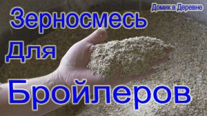 Самая лучшая зерносмесь для бройлеров!