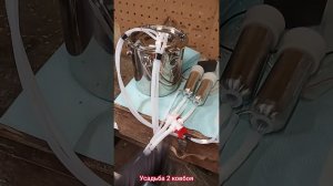 Первая дрйка коз доильным аппаратом.