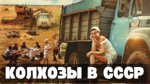 Колхозы СССР: почему одни деревни богатели, а другие выживали