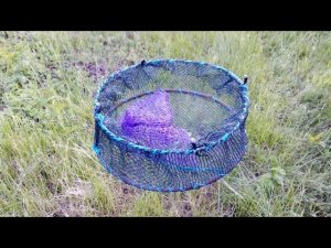 Как сделать раколовку своими руками