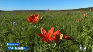 9:30 ВЕСТИ САХА 30/06/26 НА ЯКУТСКОМ ЯЗЫКЕ