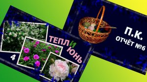 Теплюнь и ПК. Я победила перевязы! 😍😍😍 #вязание #handmade