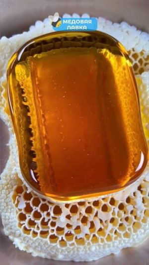 Что будет, если съесть 100 грамм ПЕРГИ за раз 😱🐝 #пчелы #факты #здоровье #мёд #пчеловодство