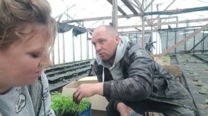 Клубничный дворик В деревне в прямом эфире!