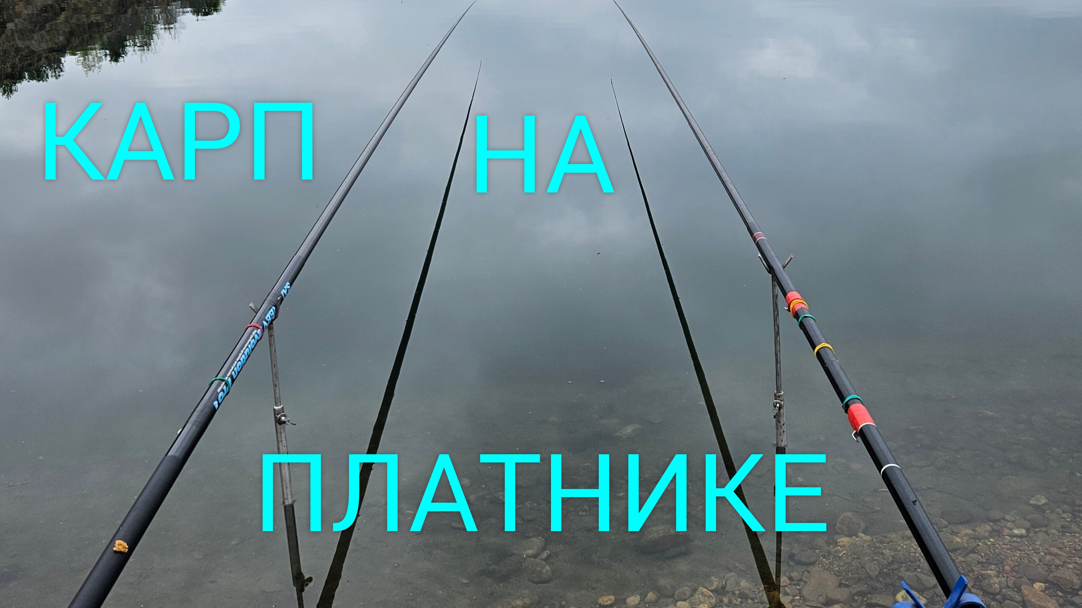 ЗИМА