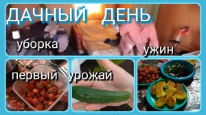 Дачный день//уборка//первый урожай//ужин