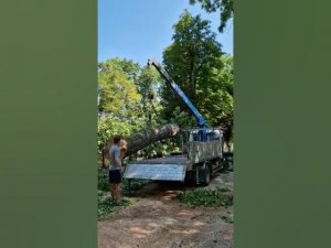 погрузка 2-х тонного бревна краснодар 89282282814