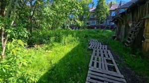 Прогулка по Архангельску. Вдоль Ленинградского. Новый памятник Ленину. 26.06.2026