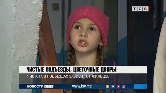 Чистые подъезды, цветочные дворы смотреть онлайн
