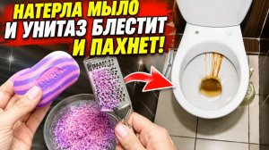 Беру обычное мыло и делаю так! Унитаз блестит и приятно пахнет 15 дней