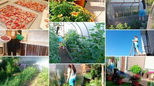 Жизнь в маленьком городке. Мой выходной день. Работа в саду и огороде, заготовки.