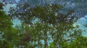 Город после сильного ливня🌾🌼🌳🌱🏞️
