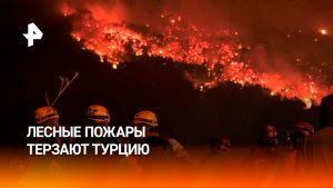 Два российских самолета-амфибии направили на тушение пожаров в Турции
