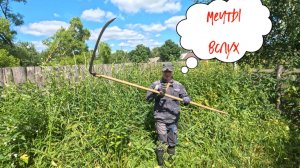 Мечты вслух.