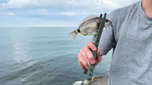 МОРМЫШИНГ в конце июня на море