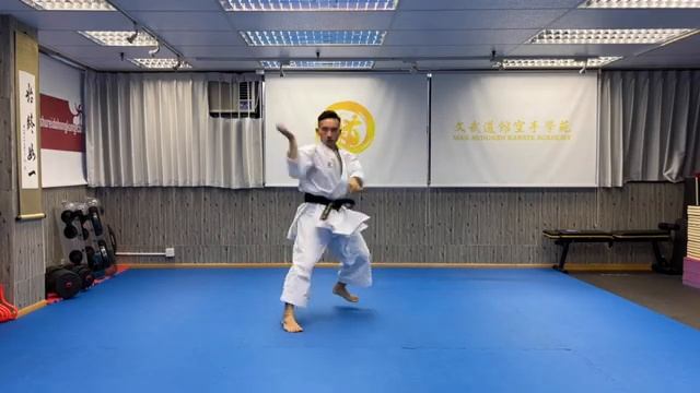 No67 Ryurei-ryu - Paiku劉衛流 白虎文武道館空手學苑 Man-Budokan Karate Academy