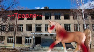 Клип //~•Травля•~//лошади schleich