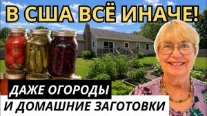 В США всё иначе даже огороды и домашние заготовки. Что выращивают, что консервируют американцы.
