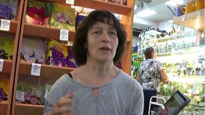 ДФ.Селекция стрептокарпусов в целом и в частности (ИВ-)