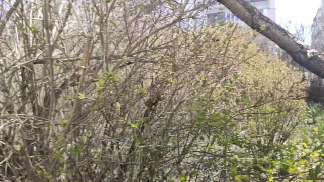 Один из дней города Евпатории | 5 апреля 2022 год | Крым ХАН БАТОН XAH 6ATOH | VID_20220405_141642