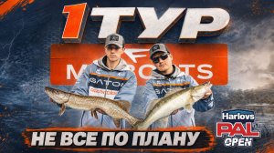 Всё пошло не по сценарию | 1 тур Harlovs PAL Open 2026 | Gator Team