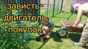 Зависть - двигатель покупок. Сажаем новый жасмин и не только. 01.07.2026
