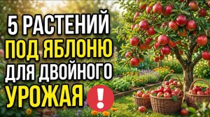Почему у соседа яблони ломятся, а у вас нет? 5 секретных растений!