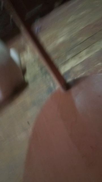 1000008146.mp4