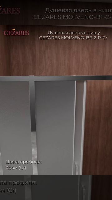 Душевая дверь в нишу Cezares Molveno BF 2 170 P Cr смотреть онлайн