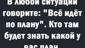 Полгода спустя. По следам своих планов 2026.