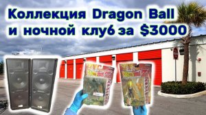 АУКЦИОН КОНТЕЙНЕРОВ В США / Ночной клуб и коллекция Dragon Ball. Потратили на это $3000. Окупится ?