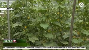В Ингушетии продлён приём заявок на конкурсы «Лучшее ЛПХ» и «Фестиваль цветов»