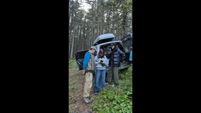 путешествия  , покатушки -  готовые  видео