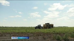 Свыше 19,5 тысячи ставропольских пенсионеров получают доплату за многолетний труд на селе