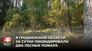 В Гродненской области за сутки ликвидировали два лесных пожара