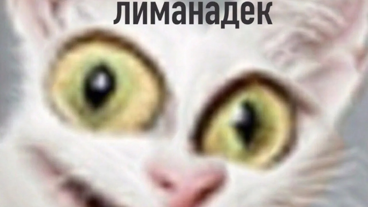 собака Эдит смотреть онлайн