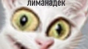 собака Эдит