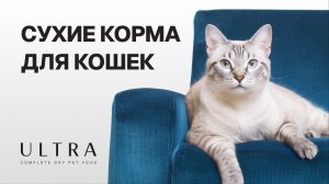 УЛЬТРА сухие корма для кошек 🐈