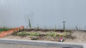 РУТУБ ОТКЛЮЧАЕТ МОНЕТУ И ВООБЩЕ ЕЁ НЕ ПОДКЛЮЧАЕТ 02-07-2026