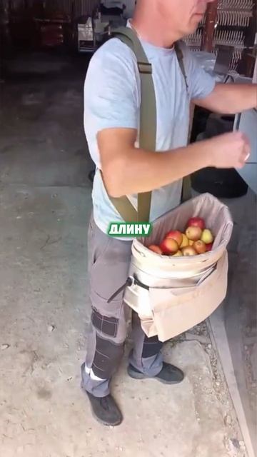 🍎 Демонстрация плодосборной сумки СПАК-10 в работе!