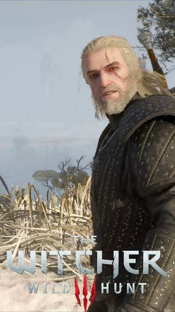 Верный друг. Монета Хубрехта. Ценнее денег. Эпилог. The Witcher 3 - Wild Hunt #shorts
