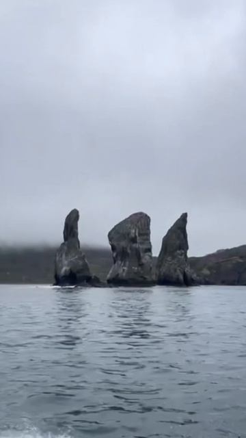 Камчатка смотреть онлайн