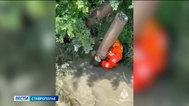 Александр Бастрыкин поручил возбудить уголовное дело о пропаже девочки в Ессентуках смотреть онлайн